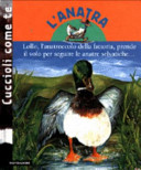 Copertina  L'anatra