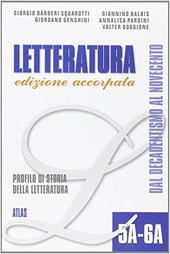 Copertina  7: Dal decadentismo al Novecento : profilo di storia della letteratura