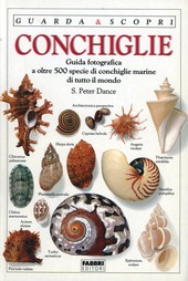 Copertina  Conchiglie