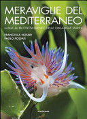 Copertina  Meraviglie del Mediterraneo : guida al riconoscimento degli organismi marini