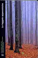 Copertina  Le faggete apenniniche : avanguardie e relitti di foresta continentale          