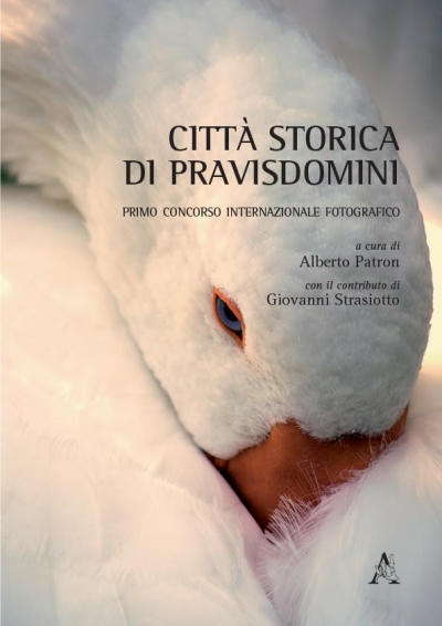 Copertina  Città storica di Pravisdomini : primo concorso internazionale fotografico 